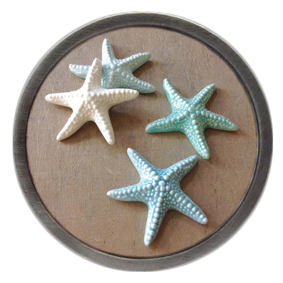 Sand & Starfish Clik