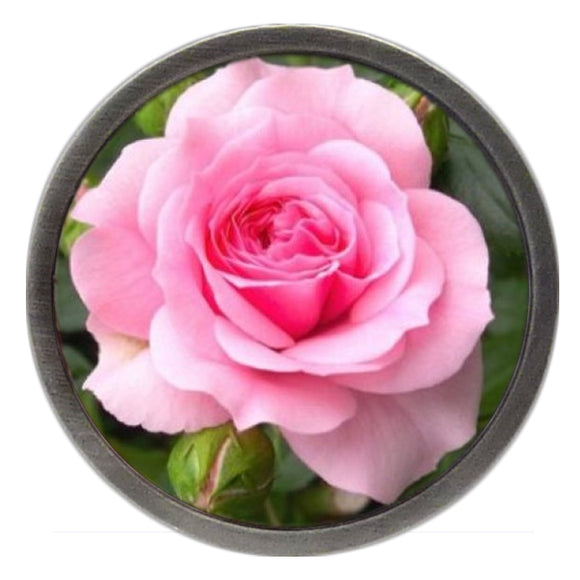NEW Pink Tea Rose Clik