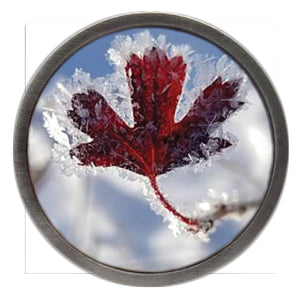 Canadian Flag NEW Frosty Leaf Clik